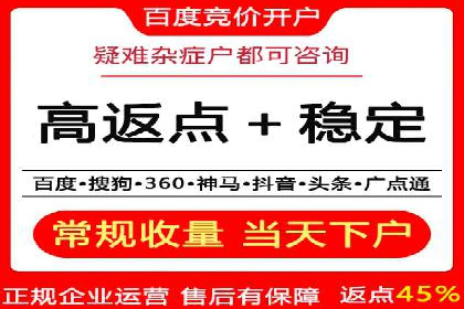 百度竞价排名服务：实战案例教你如何高效推广